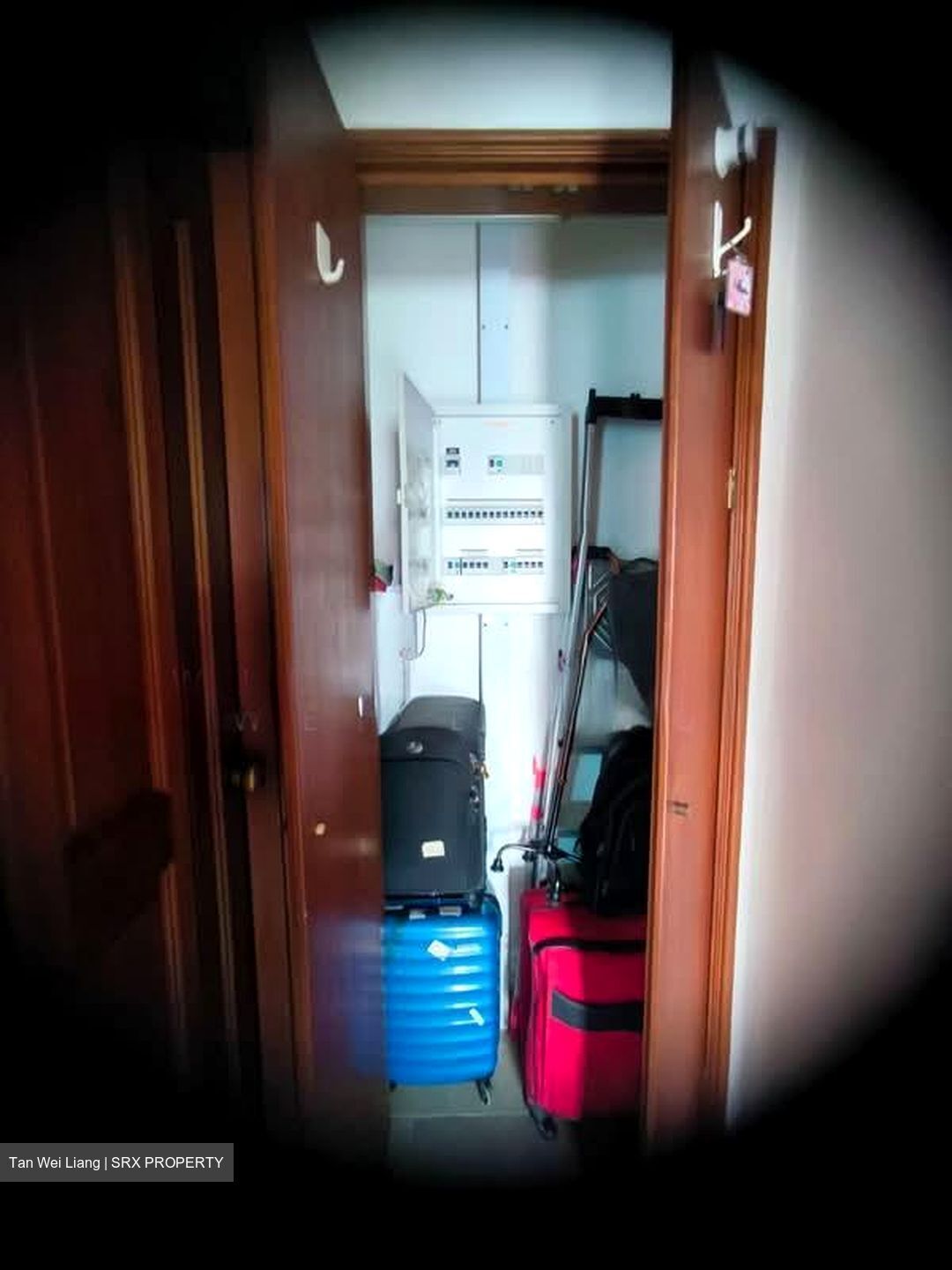 Spring Grove (D10), Condominium #566137771